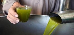 الحنيفات: لن نسمح باستيراد زيت الزيتون وسنضرب بيد من حديد كل محاولات الغش