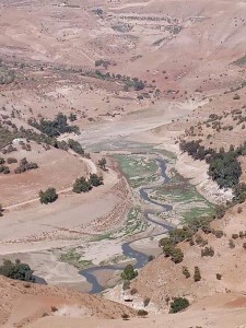 محاسنة: سد الملك طلال لن يصل لمرحلة الجفاف