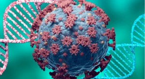 الزعبي : هنالك الكثير من المعلومات المغلوطة التي تثير الرعب بين الناس عن أوميكرون