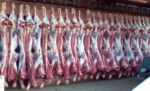 الزراعة توضح حقيقة أسعار الخراف المستوردة من جورجيا