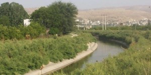 انتشال مركبة سقطت بقناة الملك عبد الله في الأغوار الشمالية