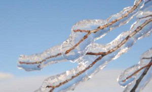 درجات حرارة تحت الصفر والارصاد تحذر من السيول والانجماد الليالي القادمة
