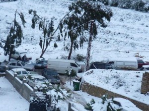 العوران يدعو لتعويض المزارعين نتيجة المنخفض بشكل فوري