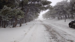 قرار حكومي مرتقب بشأن موعد دوام الموظفين الأحد