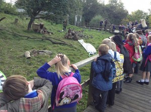 تعميم من التربية حول الرحلات المدرسية