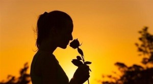 دراسة: الدماغ يشم الوردة مثل لوحة أو سيمفونية