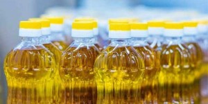 اندونيسيا تبدأ تطبيق قرار وقف جميع صادرات زيت النخيل