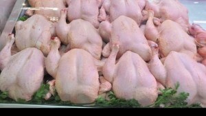 مواطنون يشترون الدجاج بـ 2.6 دينارا .. وشكاوى من عدم توفره