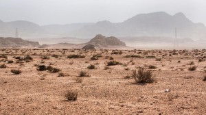 البنك الدولي: التغير المناخي "سيشكل ضغطا كبيرا" على الأمن الغذائي في الأردن