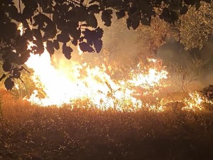 إعلان نتائج المسح الميداني لحريق محمية اليرموك: إفتعال من قبل أشخاص مجهولي الهوية