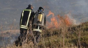 الدفاع المدني يخمد حريقين في منتزه عمان القومي ووادي السير