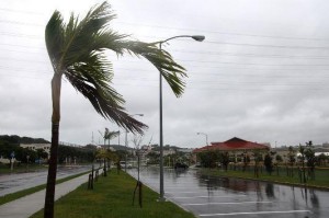 الأرصاد: هبّات رياح قد تتجاوز سرعتها 60 كم/ساعة