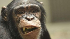 المغرب.. تسجيل 3 حالات مشتبه في إصابتها بـ"جدري القرود"