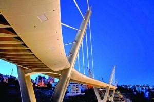 وفاة شخص سقط عن جسر عبدون .. والأمن يحقق