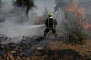 التعامل مع 165 حريق أعشاب جافة خلال 24 ساعة