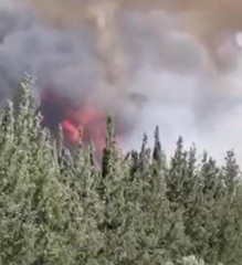 حريق كبير يأتي على اشجار وأعشاب قرب دوار الكمالية