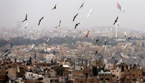 الأحد .. أجواء معتدلة في المرتفعات وحارة في باقي المناطق