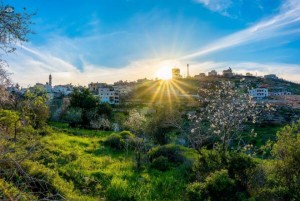 الاثنين .. أجواء معتدلة نهارا ولطيفة ليلا