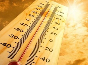 درجة الحرارة في بعض مناطق السعودية تصل إلى 52 درجة في الظل