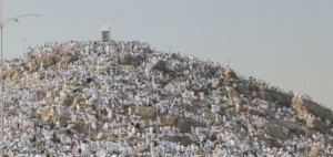 الافتاء توضح حكم صيام عرفة إذا صادف الجمعة