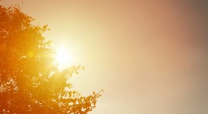 تعرف إلى آخر تحديثات الأجواء الحارة في الأردن