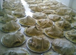 وزير اردني اسبق: التعزية بي على المقبرة فقط