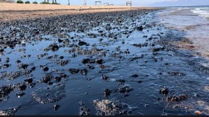 إحالة ملف حادث تسريب زيت الوقود من سفينة بميناء العقبة الى المدعي العام