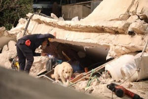 محكمة الصلح تمدد توقيف متهمي عمارة اللويبدة لمدة اسبوع