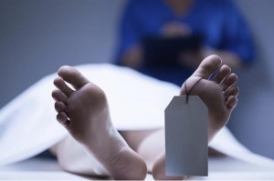 تضامن: 26 جريمة قتل أسرية في الأردن منذ بداية 2022