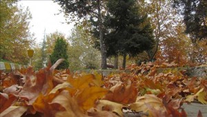 الثلاثاء: أجواء خريفية معتدلة نهارا وباردة ليلا في أغلب المناطق