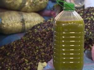 الزراعة: تصدير زيت الزيتون مفتوح و4 آلاف طن زيادة متوقعة هذا الموسم