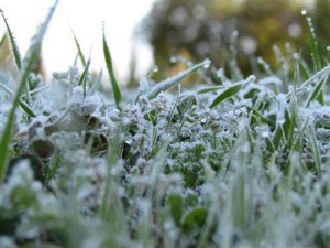 طقس العرب: أجواء قارصة البرودة والحرارة الليلة