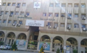 وزارة الزراعة : القوانين تمنع قنص الكلاب الضالة وايوائها من مسؤولية البلديات