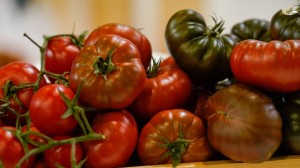 المملكة المتحدة تعيش أزمة بندورة