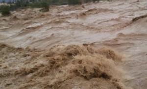 سلطة وادي الأردن تحذر من السيول