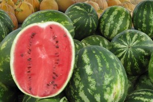 الأمانة: بدء منح تصاريح "معرشات" بيع البطيخ والشمام