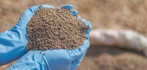 مذكرة تفاهم للتنقيب على الفوسفات في منطقة الريشة