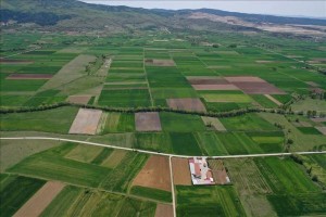 الإفتاء توضح حكم الزكاة في الأرض المملوكة بنية الادخار او القنية