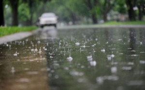 السبت .. أمطار قد تكون غزيرة في نطاقات جغرافية ضيقة