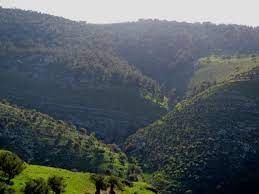 الكايد يفتتح الخميس معرضا للمنتوجات ومشاريع في عجلون