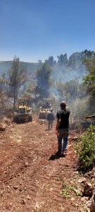 القبض على المشتبه بتسببه في إشعال حريق الغابات بجرش وعجلون