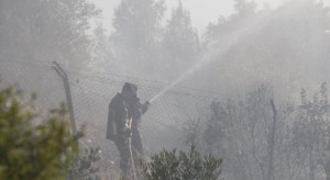 محافظ جرش :مصابا الدفاع المدني بحريق وادي الشام حالتهما جيدة