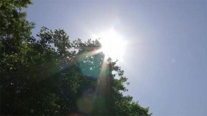 أجواء لاهبة ودرجات حرارة أربعينية في الأغوار والعقبة