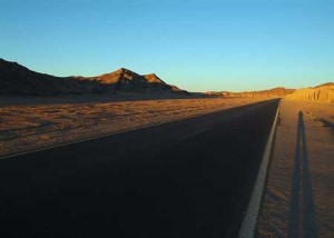 نفوق 60 رأسا من الأغنام دهسا على الطريق الصحراوي