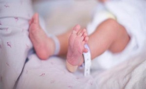 ولادة 200 ألف طفل سوري بالأردن منذ بدء اللجوء