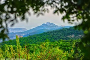 الأردن الأول عربيا في نوعية الـهواء المحيط