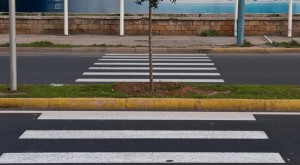 أمانة عمان تخطط مئة ممر مشاة وهذه عقوبة من لا يعطيهم أولوية العبور