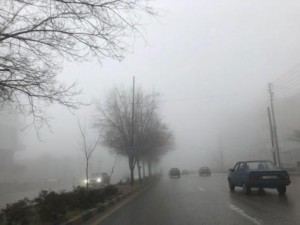 ضباب صباح غد الاثنين وفرص تساقط الأمطار واردة