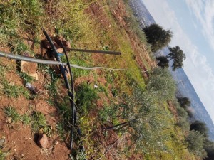 بالصور...ضبط اعتداءات على المياه في السلط لبيع صهاريج مخالفة وتزويد مزارع