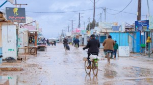 "مالية النواب": الاستجابة الدولية لتحمل أعباء اللجوء "لم تغط الكلف السنوية"